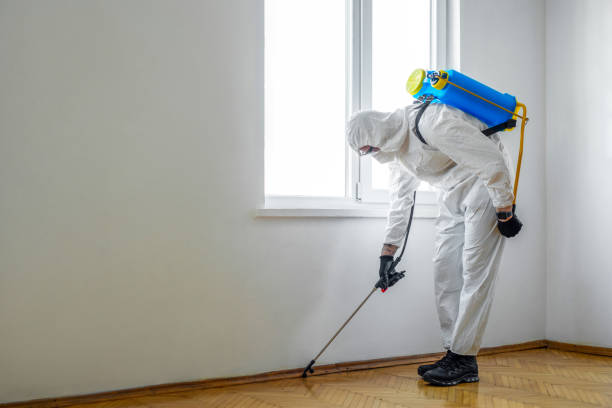 Best Organic or Eco-Friendly Pest Control  in Kenton, TN